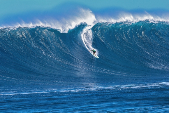walsh i2274peahi17Hallman_mm