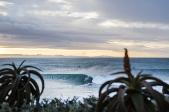 smith j9667jbay17cestari_mm_1