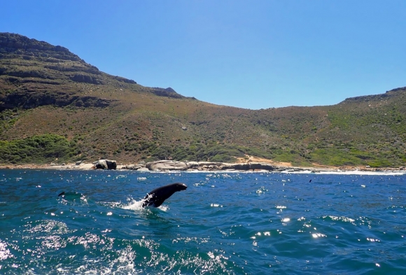 NSRI-Wavescape-2018-004