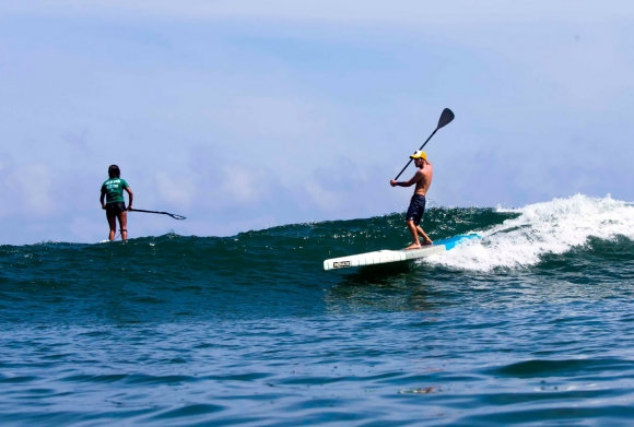 Freesurf ISA Bielmann146w