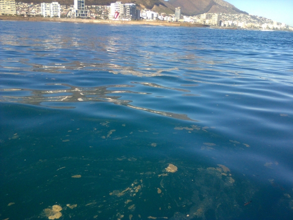 Cape-Town-20150607-00896