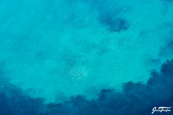 DSC 8104-Green-Point-WAVESCAPE