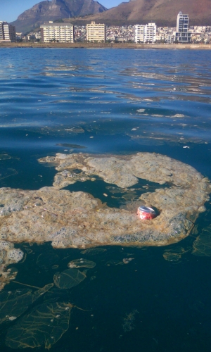 Cape-Town-20150607-00900