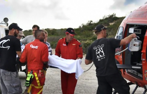 stillbaai-shark-bite