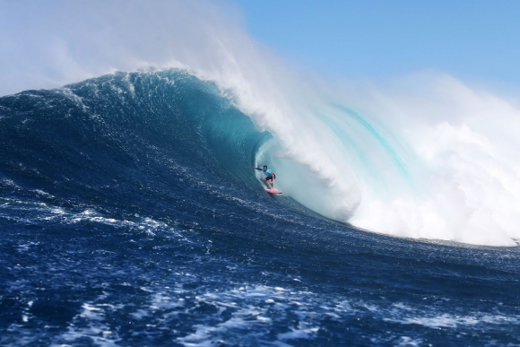 kemper1510peahi15cestari