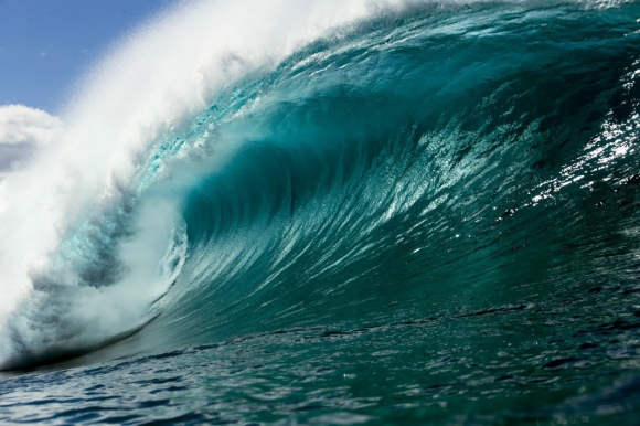 VPP 2016_VandykeA81V5558-1024x682