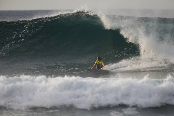 wilkinson22226bells16cestari n