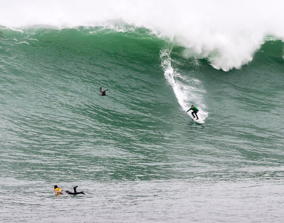 twiggy-pico-alto-2014