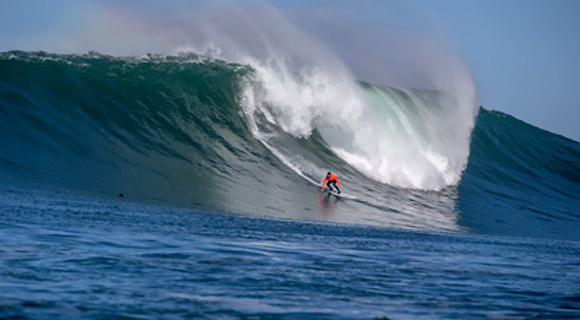 twiggy RichardHallman