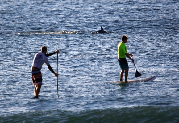 Dave-Maxwell-white-Brendon-Malan-green