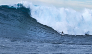 XXL SDollarCortesByQuirarte