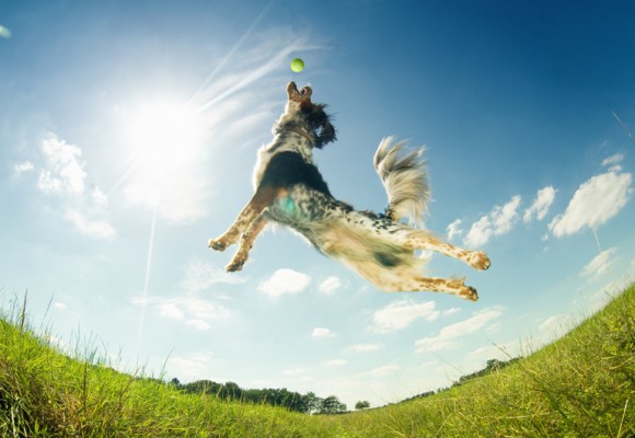 ISAW-Action-Camera Image-Gallery 007