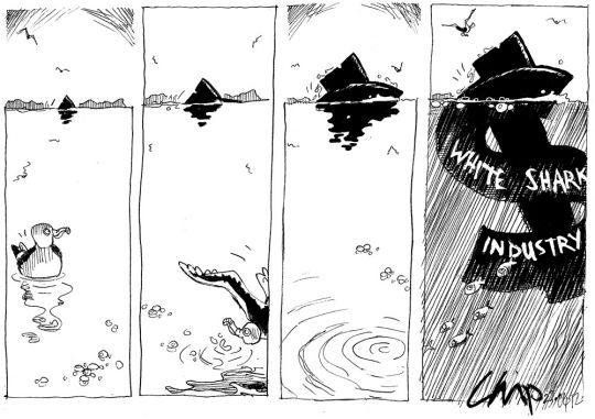 snaddon-chumming-apr-2012