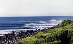 Another memory lineup