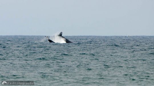 06102012_SAChamps_0476