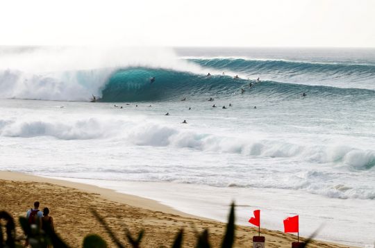 pipe2731reef10kirstin_m