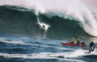 twiggy_from_pierremarqua