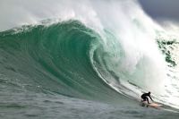 Jem_from_peter_lambert_11