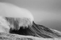 Jem_from_peter_lambert_42_B