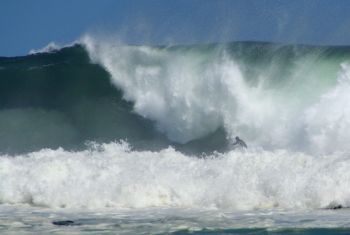 Factory--350pm-Pierre