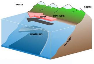upwelling
