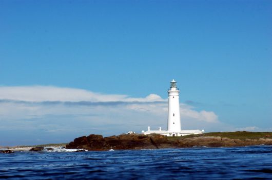 Seal Point Light House