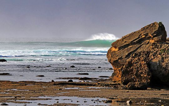 february_spotthespot1