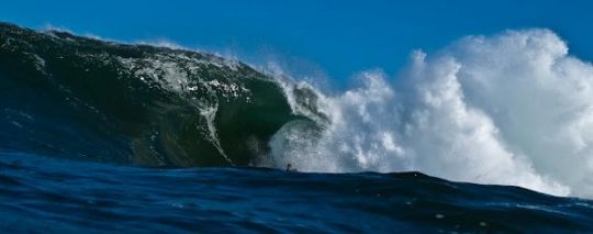 Mark McCarthy. Photo: Cobus Bosman