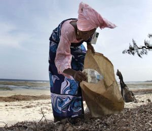 Albatross_story_sksea_1