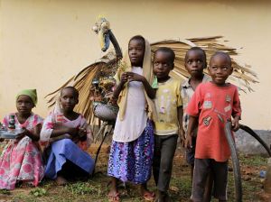 Albatross_story_sksea_2