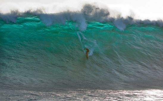 XXL11D-CorbettWestOz