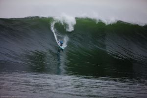 09-Bertish-Nelscott-by-Richard-Hallman