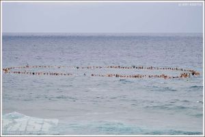 The circle is complete. Photo: ASP / Kirstin Scholtz