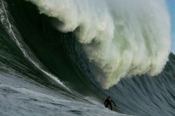 prowlers3_Barry_Conn