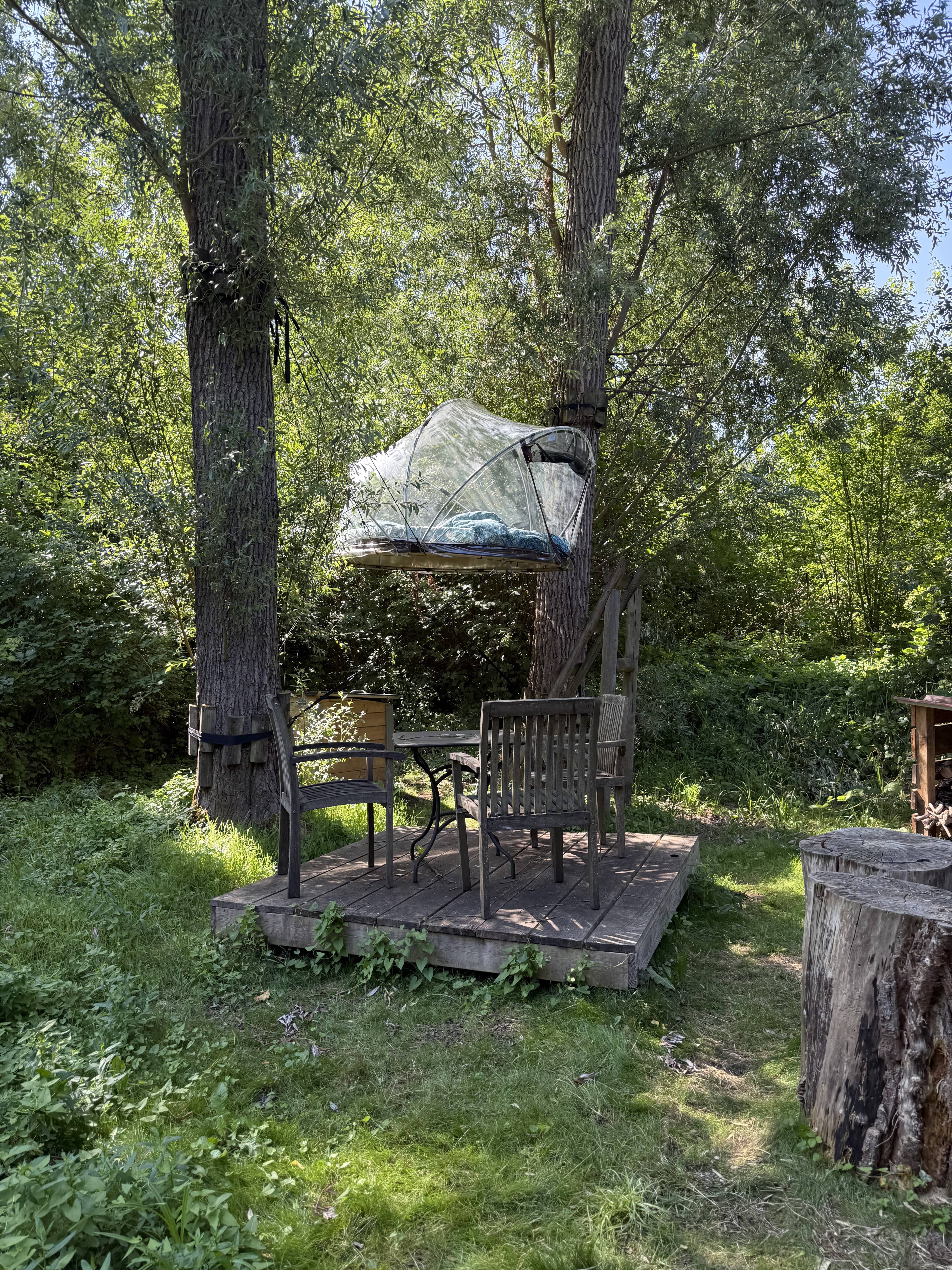 Einaï a conçu un séminaire managérial original pour Devoteam, alliant QVT, team building, nature et cohésion dans un lieu insolite en région parisienne