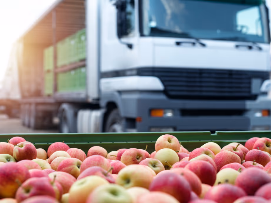 Mastering Food & Beverage Distribution: Proven Strategies to Improve Inventory, Cut Costs, and Boost Efficiency