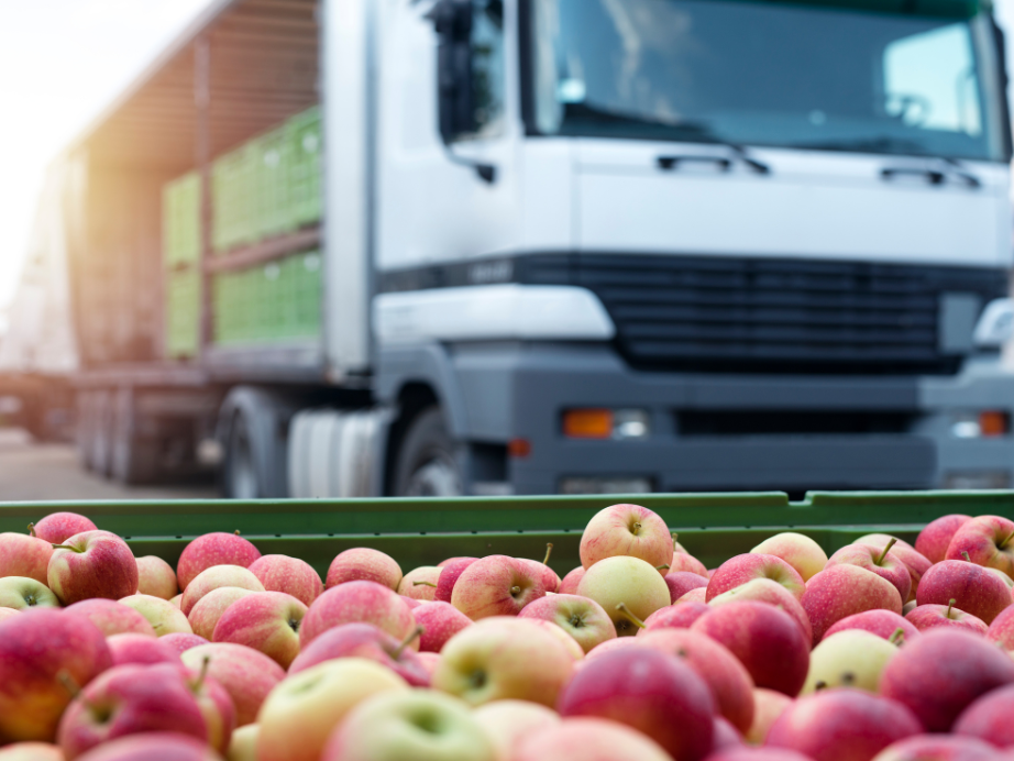 Mastering Food & Beverage Distribution: Proven Strategies to Improve Inventory, Cut Costs, and Boost Efficiency