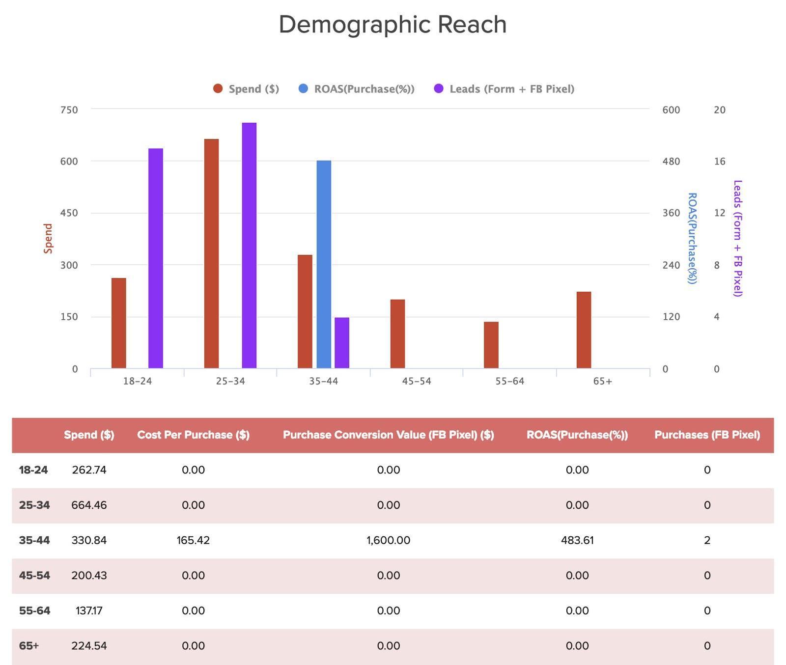 Social media audit template 7: Demographic Reach