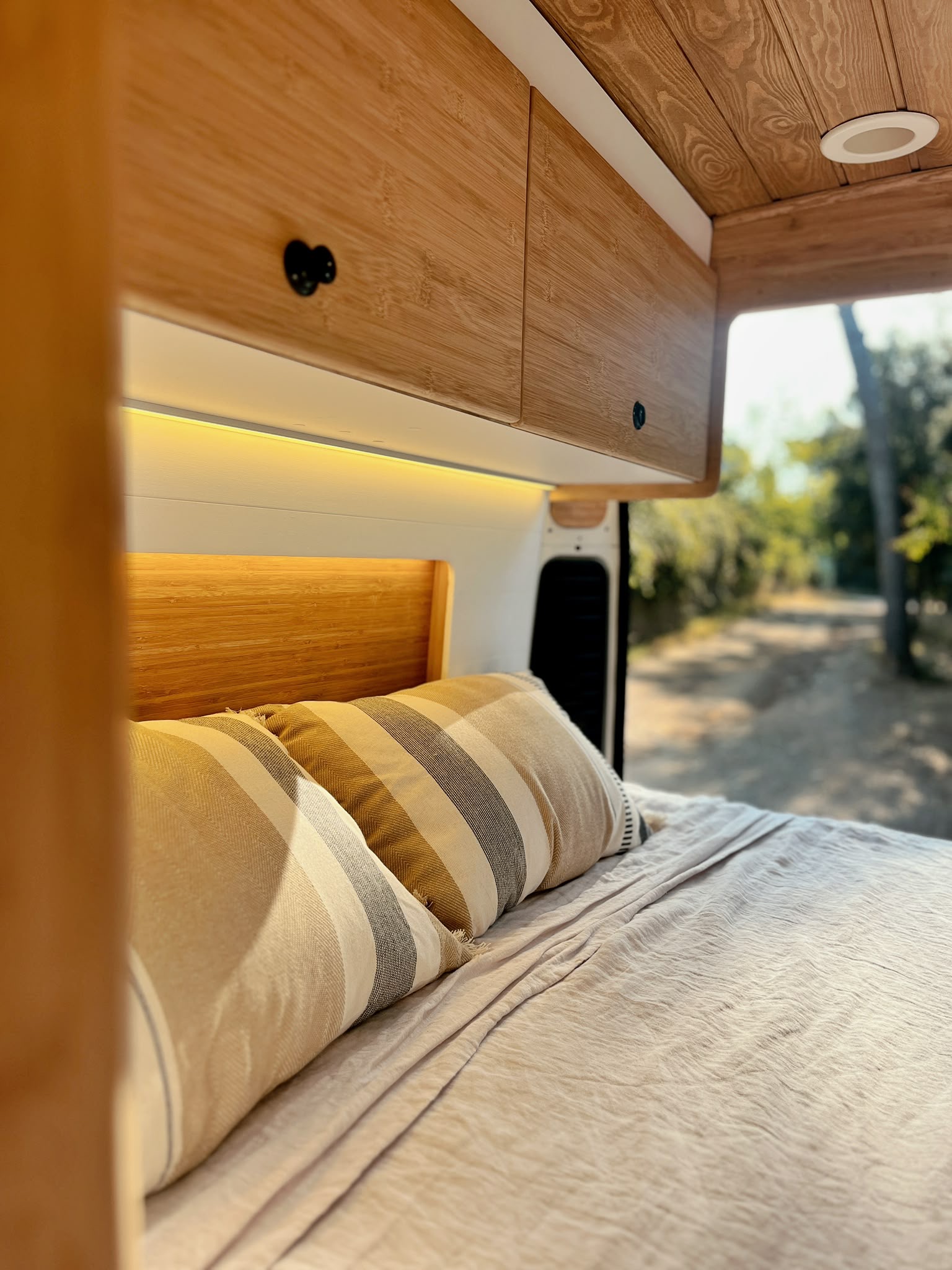 Cozy camper van interior with wooden ceiling, cushioned seating, a small table with a plant, and large windows showing forest greenery outside.