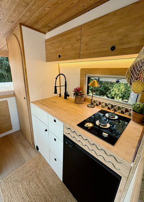Cozy camper van interior with wooden ceiling, cushioned seating, a small table with a plant, and large windows showing forest greenery outside.