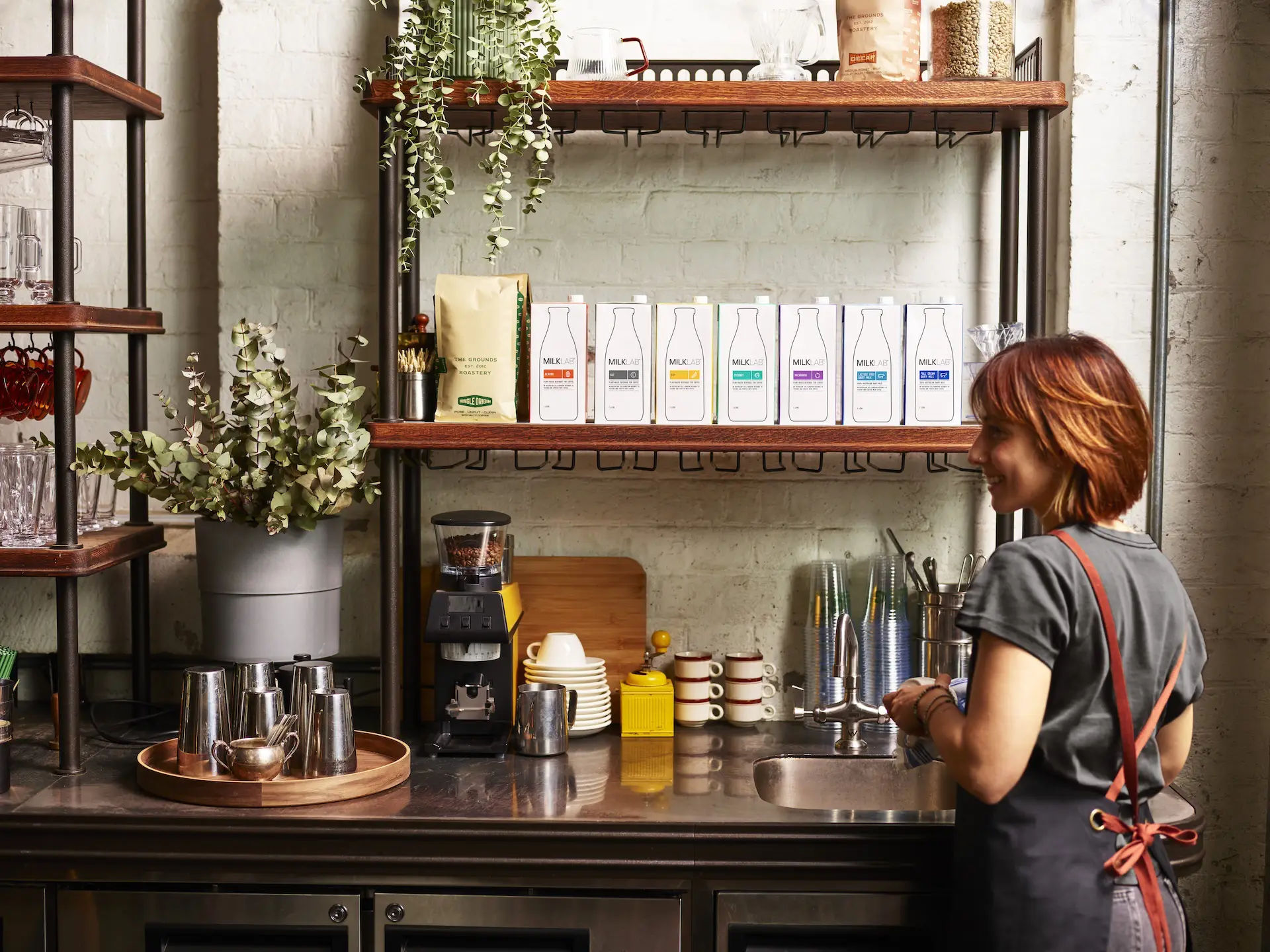 Barista in apron standing at coffee counter with coffee supplies, milk cartons, and a plant on shelves.