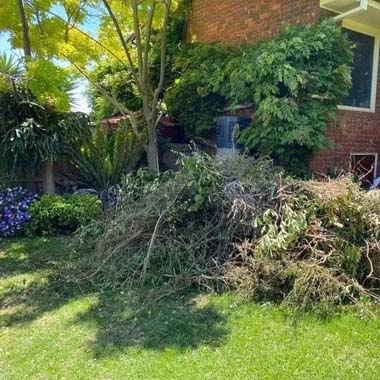 Green Waste Removal