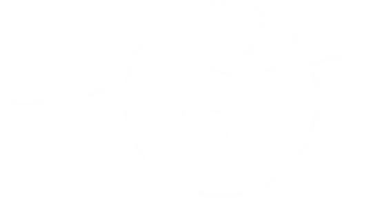 logo blanc de virginie tarko