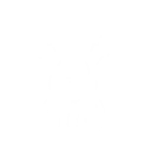 illustration sur la concentration