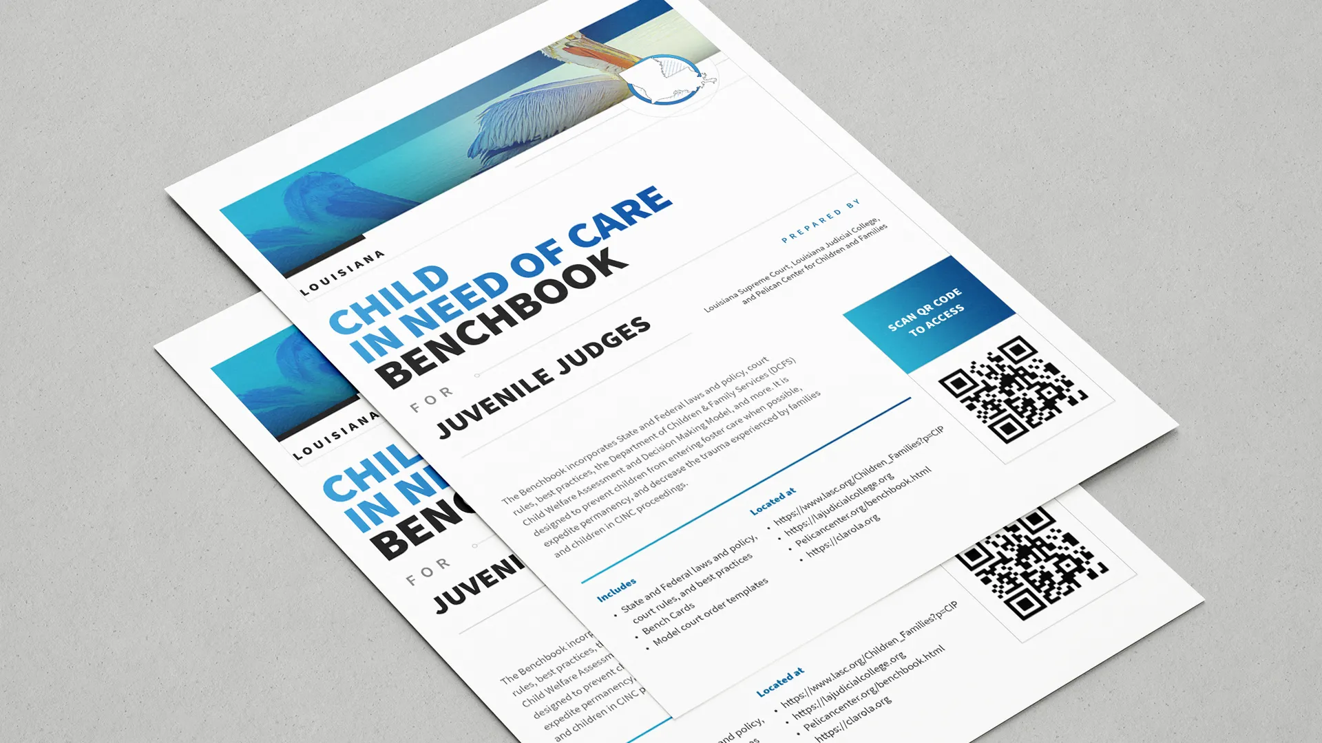 Legal Child in Need of Care Judge Bench Book Handout Flyer