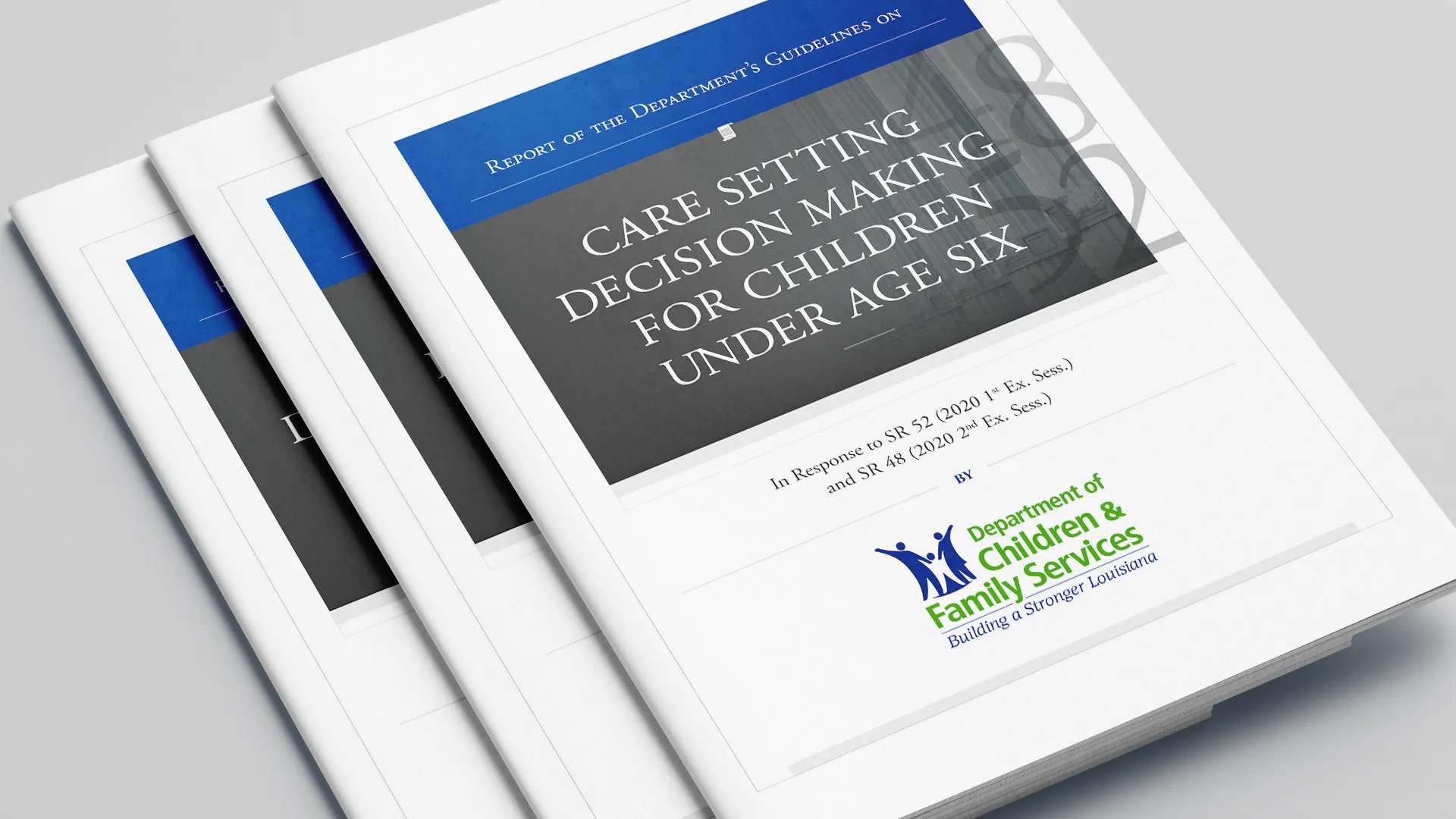 Legal Senate Case Packet Brochure