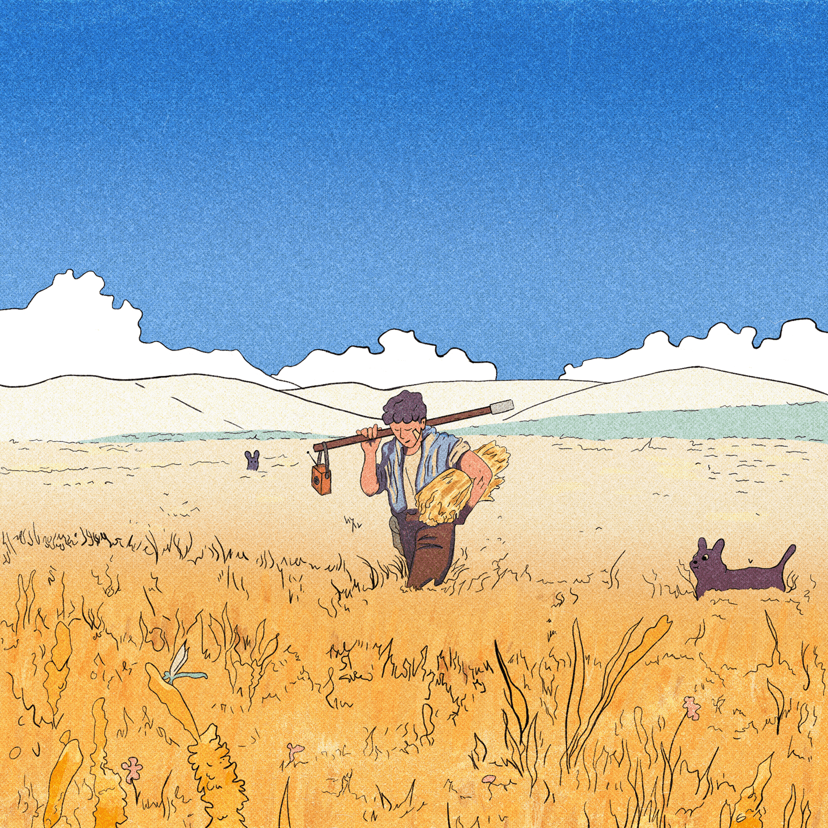 Farmer in a late summer corn field