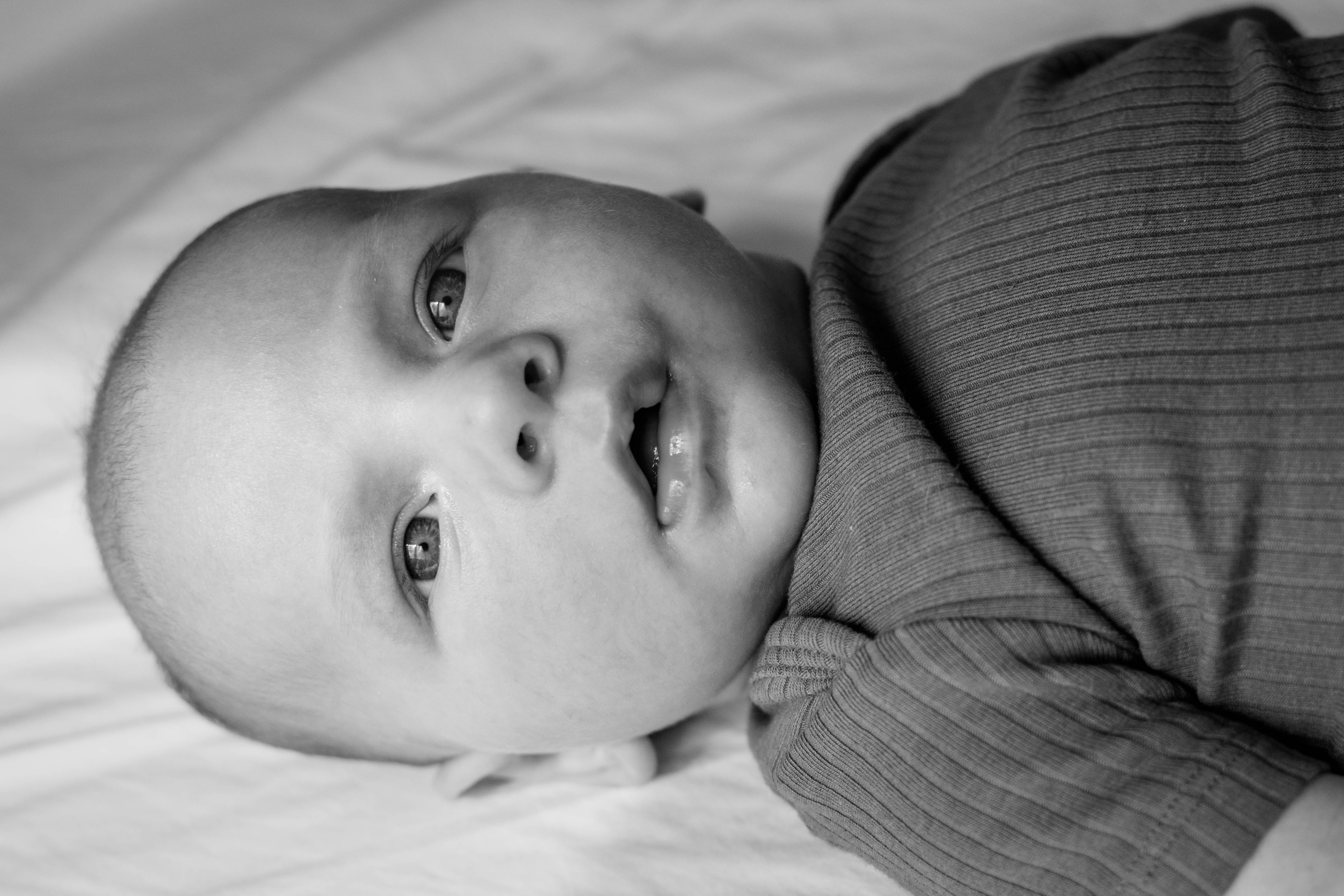 Newborn photoshoot in the Netherlands