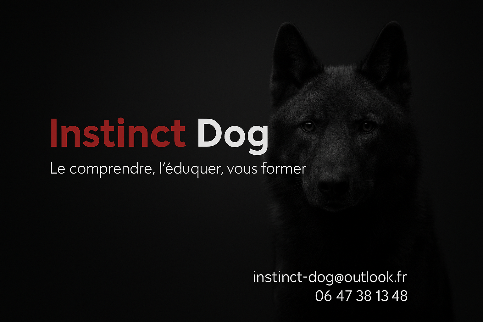 Instinct Dog