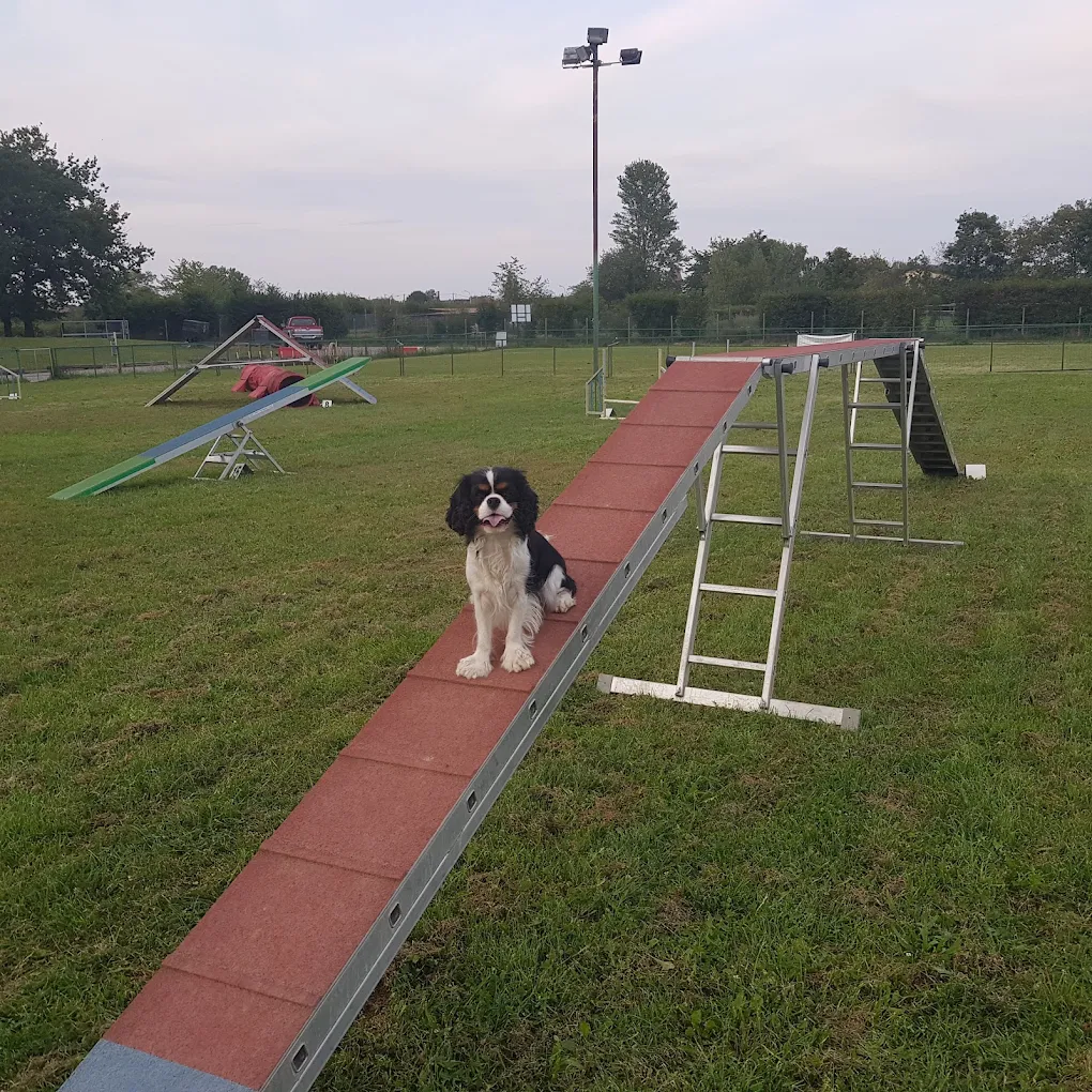 Training Club Minier de Wittenheim